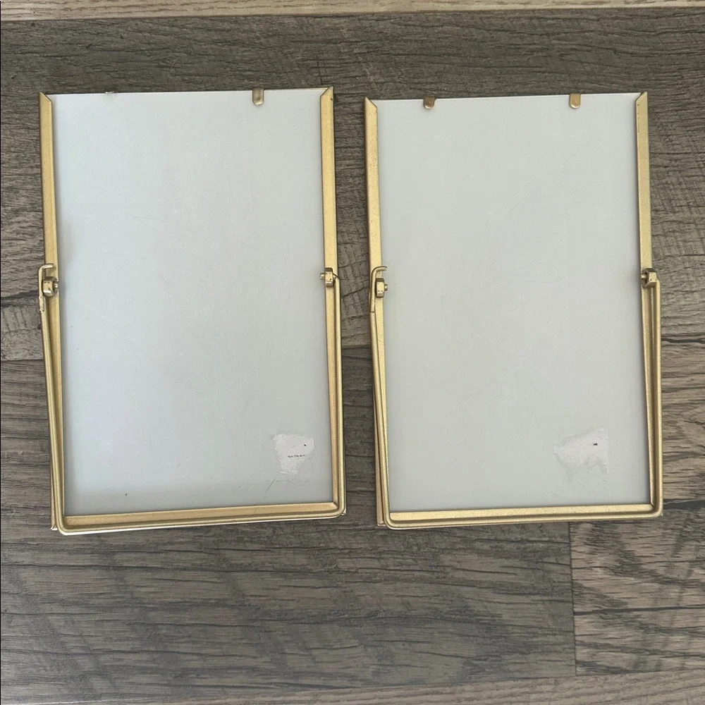 Anthropologie Gold Botanical Framed Prints